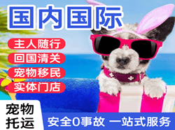 海口空运代理国际宠物托运 【国